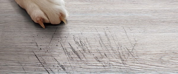 Hư hại sàn vinyl từ móng vuốt vật nuôi
