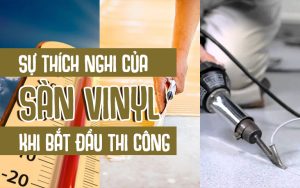 Sự thích nghi của sàn vinyl khi bắt đầu thi công